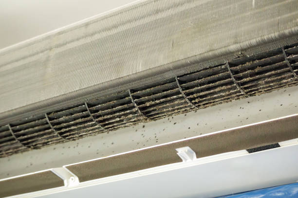 Best Commercial Air Duct Cleaning  in Seagoville, TX